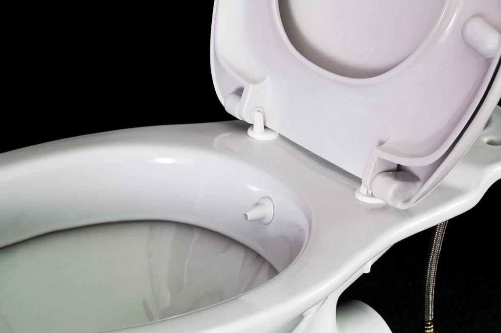 combination bidet toilet