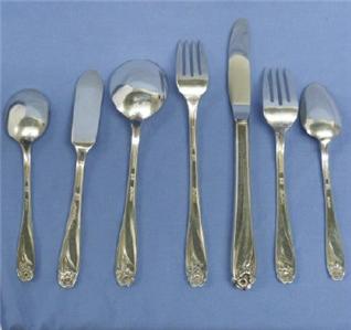 Daffodils Seeds Media - Shopping.com Australia