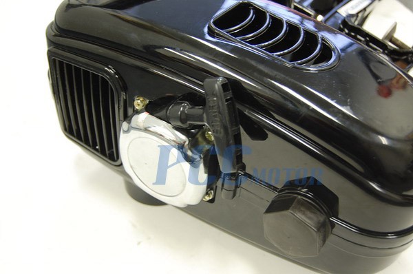Free Image Hosting at www.auctiva.com