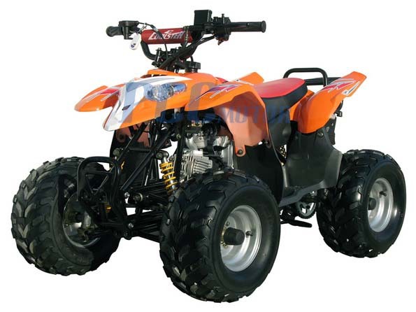How Transporters Haul ATVs Holiday shopping for Cheap ATVs Plus Free Shipping On All ATVs And Four Wheelers For Sale. They are here for all seasons sale event going on now. Pick up any ATV for sale plus all the top quality Four Wheelrs and kids Quads you can on sale everyday.