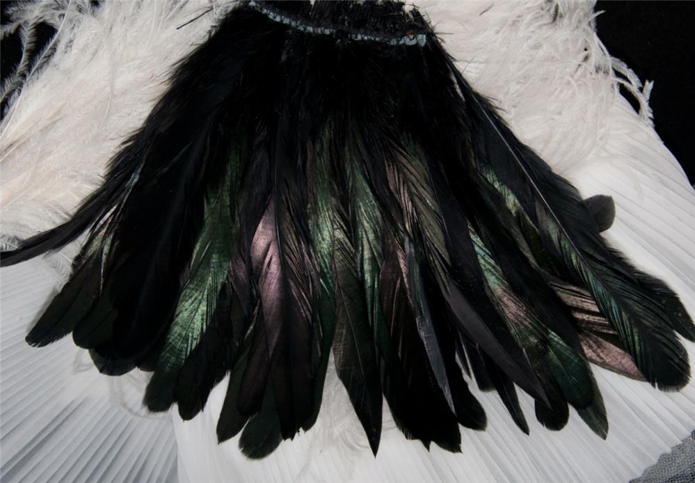 20 PC. BLACK IRIDESCENT ROOSTER COQUE TAIL FEATHERS 68