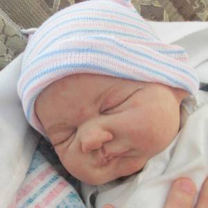 lily reborn doll