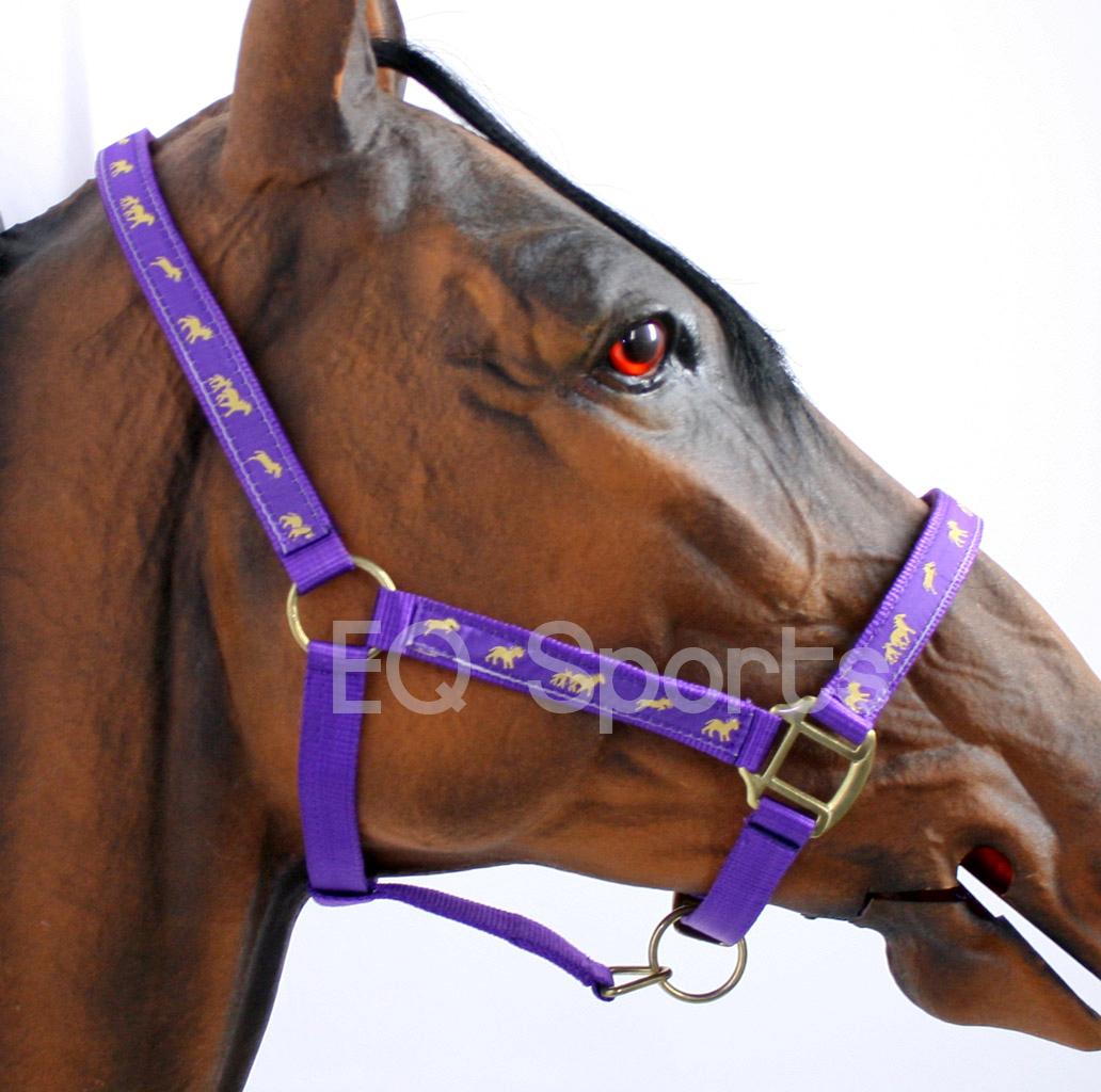 Sale Padded Horse Headcollar Leadrope Halter Bridle Silver Fittings 1