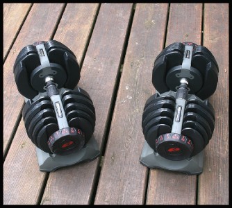 Bowflex Selecttech 552 Adjustable Dumbbells 5 1 Series Bench 2 In