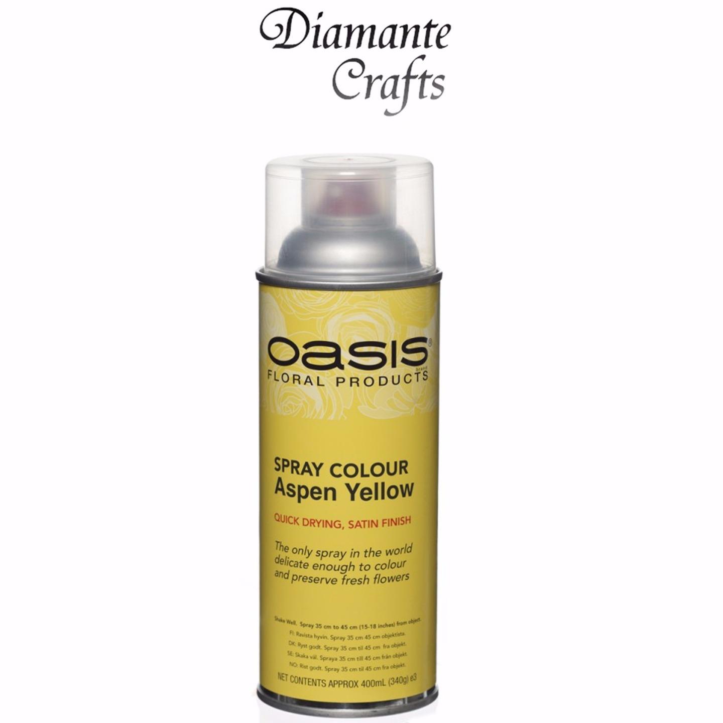Spray Paint by Oasis 400 ml Cans Fresh Flowers & Crafts Florist 42