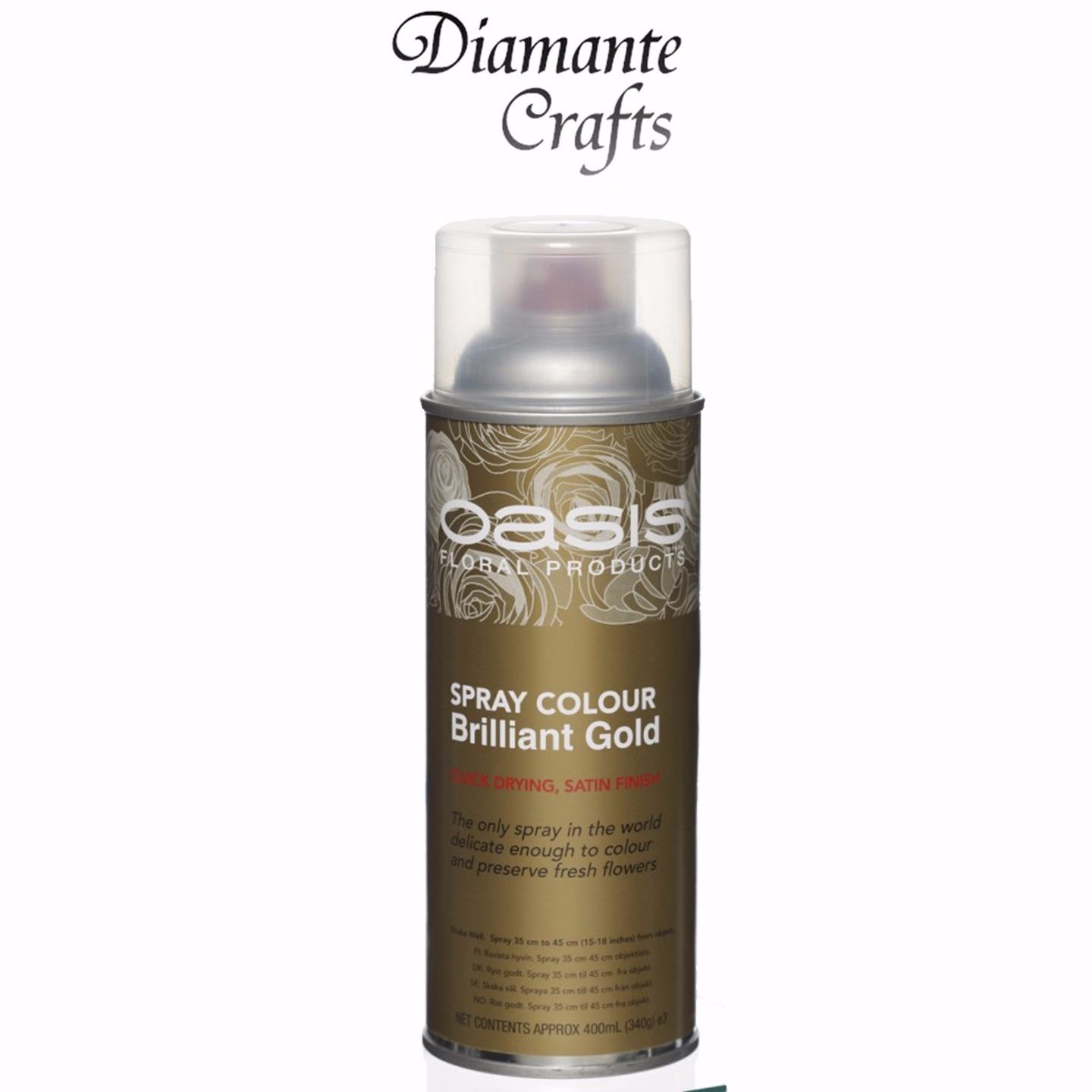 Spray Paint by Oasis 400 ml Cans Fresh Flowers & Crafts Florist 42 Colours eBay