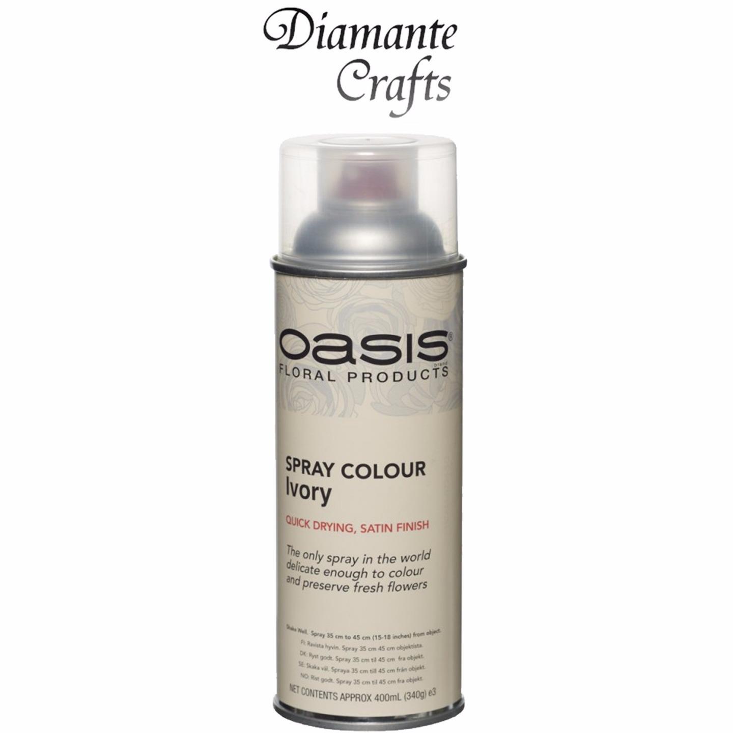 Spray Paint by Oasis 400 ml Cans Fresh Flowers & Crafts Florist 42