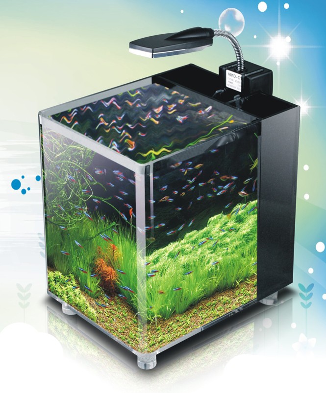 Acrylic Nano Cube Aquarium Tropical Fish Tank 32 LED's eBay