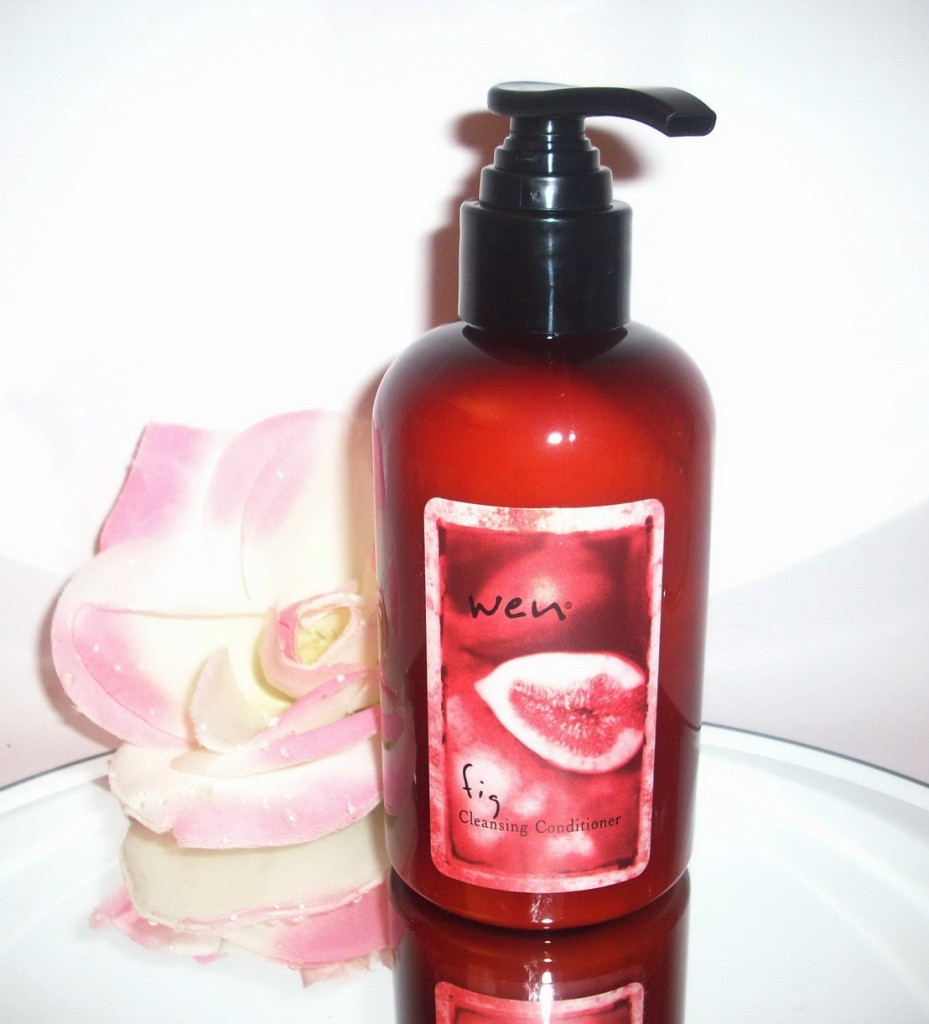 Wen Cleansing Conditioner Shampoo 6oz CHOOSE SCENT eBay