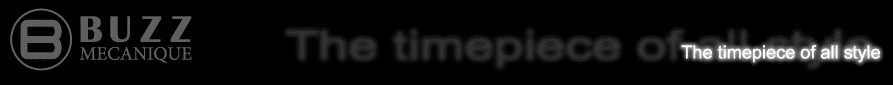 eBay Image Hosting at www.auctiva.com
