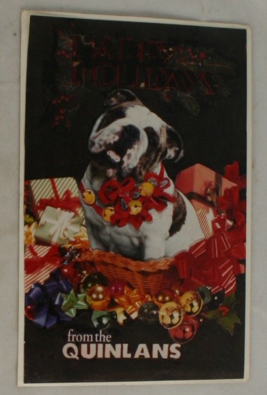 postcard,bulldog,Christmas,RPPC