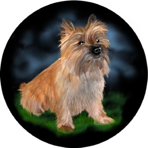 ... -BORDER COLLIE,CHOCOLATE LAB,FOX TERRIER,DALMATIAN,YORKIE ETC | eBay