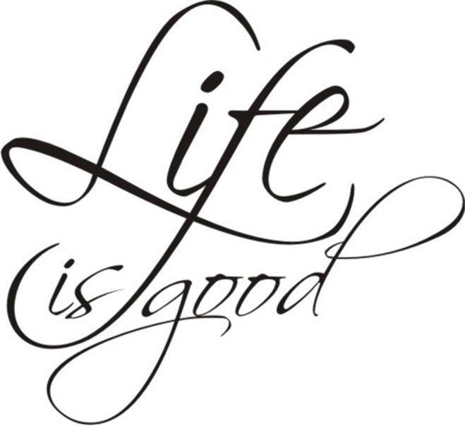 Life Is Good... Wall Art Vinyl Decal Sticker eBay