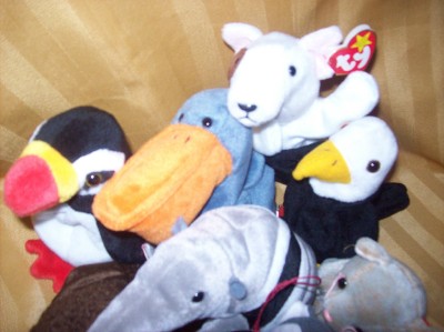 Collecting Beanie Babies on Mixed Lot 14 Rare Collection Ty Beanie Babies Mint Nwt Ebay