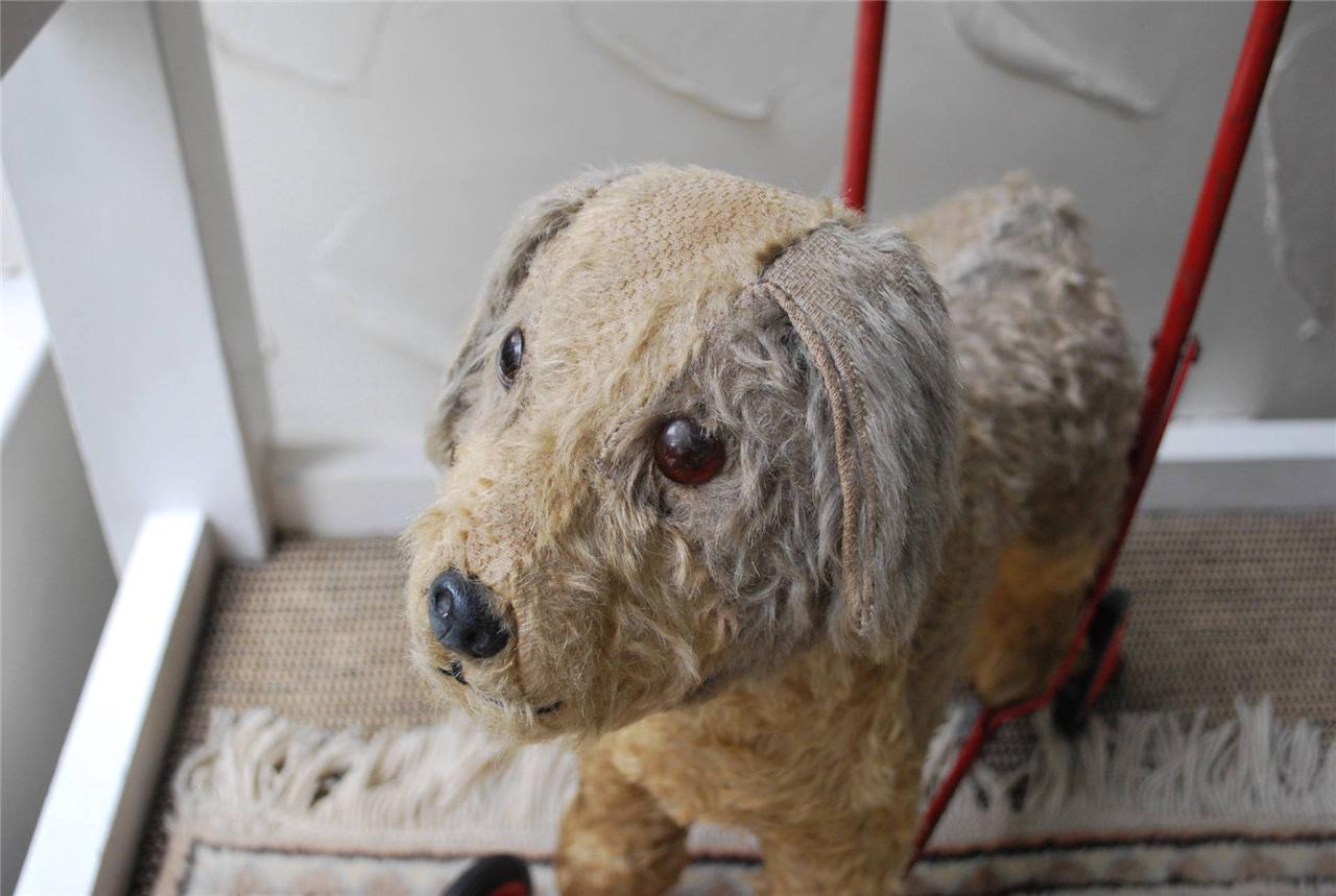 toy dog on wheels with lead