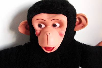 jacko chimp toy