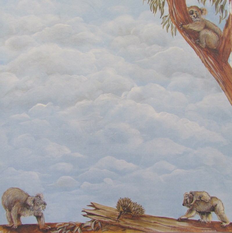 8x8" Scrapbook Paper Australian Animal Themes Koalas eBay