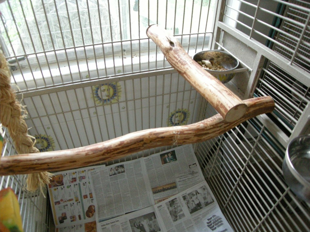 bird cage perches