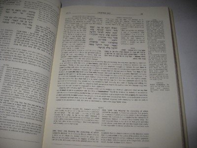 The Steinsaltz Talmud Bavli - Eruvin, Part 1 (Vol 4) The Steinsaltz Talmud Bavli - Eruvin, Part 1 (Vol 4)