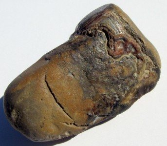 South+Dakota+Fairburn+Agate Details about South Dakota Fairburn Agate Nodule SD NICE SPECIMEN