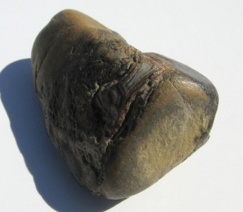 South+Dakota+Fairburn+Agate Details about South Dakota Fairburn Agate Nodule SD NICE SPECIMEN