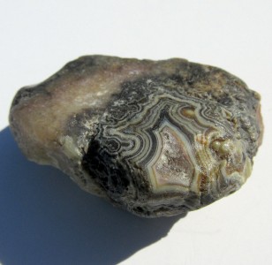 South+Dakota+Fairburn+Agate Details about Black & White South Dakota Fairburn Agate Nodule SD J ...