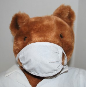 florence nightingale teddy bear