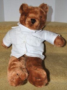 florence nightingale teddy bear