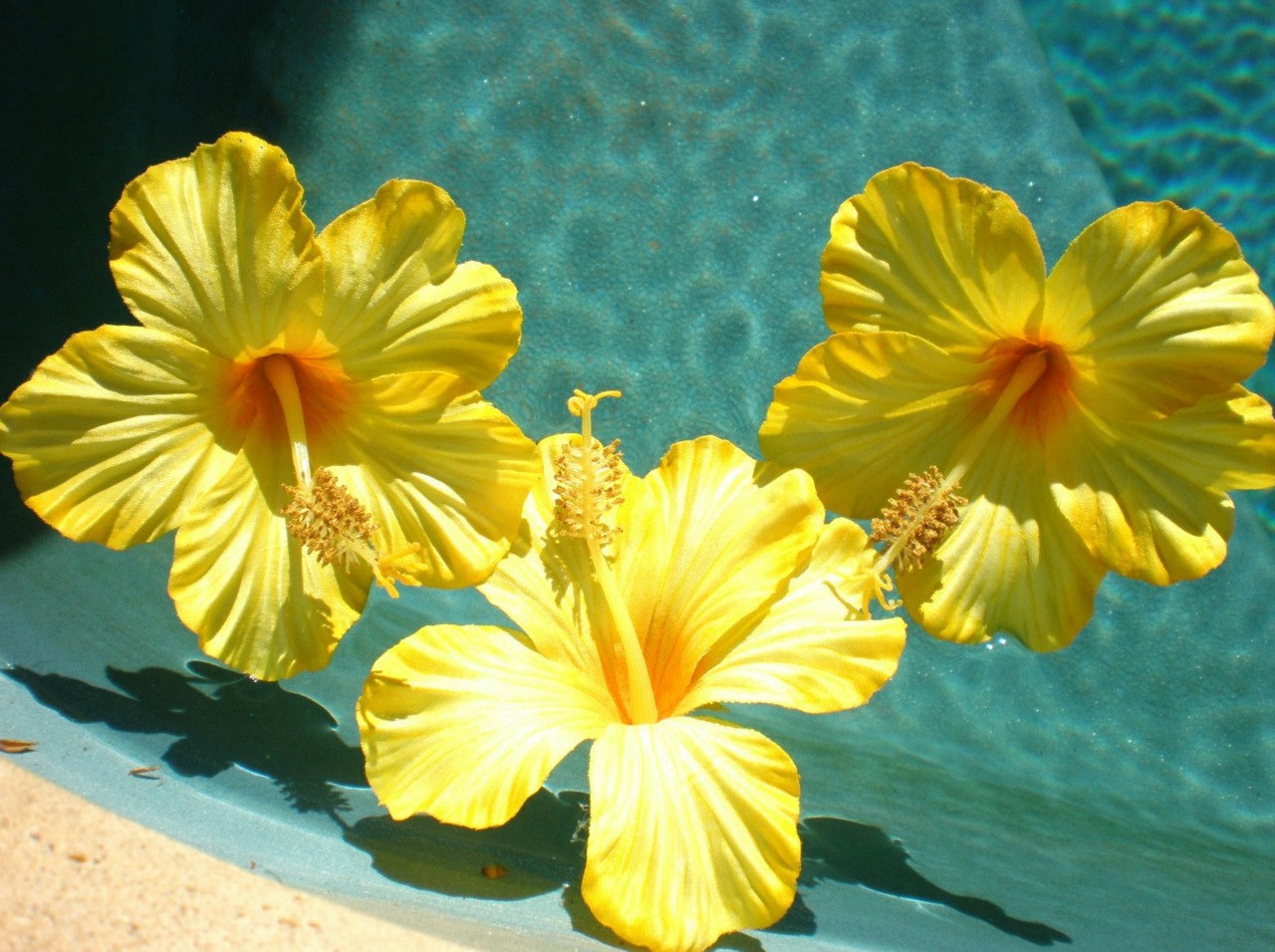 3 ARTIFICIAL FLOATING HIBISCUS FLOWERS WEDDING YELLOW