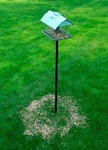 new 16 quot seedhoop seed catcher platform bird feeder new 16 quot seedhoop seed catcher platform bird feeder