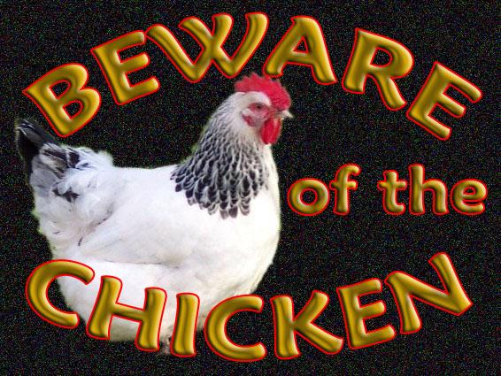 Details about 10 X 8" BEWARE OF THE CHICKEN COOP HOUSE GATE SIGN #2