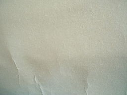 Japanese calligraphy (Sho)