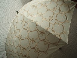 Folded Umbrella Main