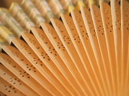 Japanese hand fan