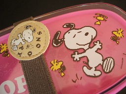 Japanese lunchbox with Chopsticks & Knife & Fork