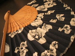 Japanese hand fan
