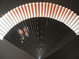 Japanese hand fan