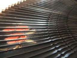Japanese hand fan