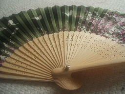 Japanese hand fan