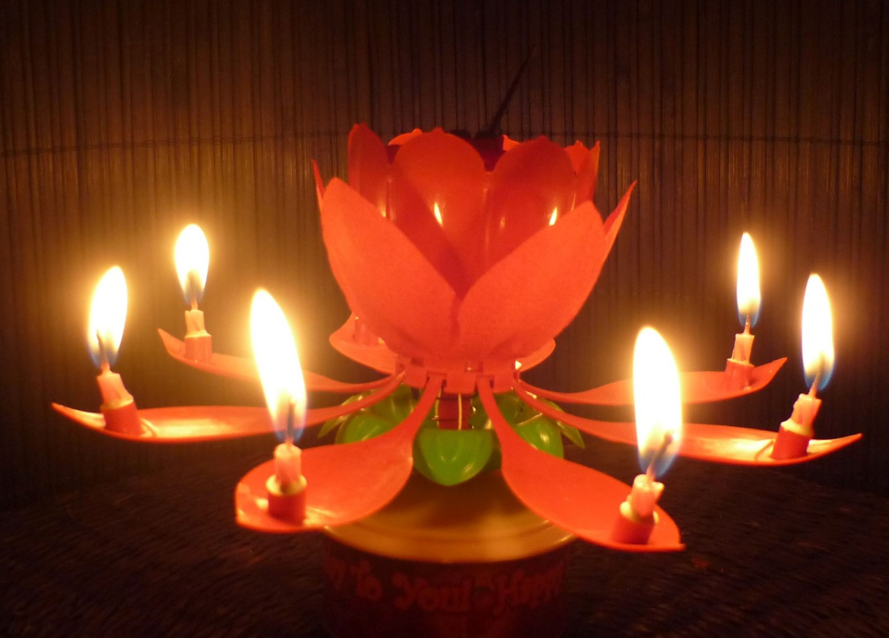 SPINNING MUSICAL BIRTHDAY CANDLE FLOWER Party Gift Sparkler Cake Topper