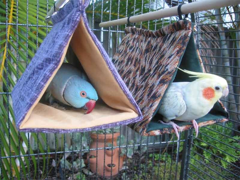 BIRD CAGE BED/RAT BUNK XLARGEKEEP THEM BUSY & COZYTOY eBay
