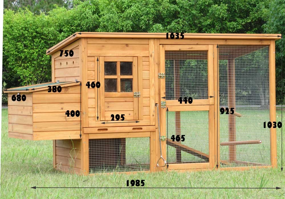 Where to get Making a chicken coop ramp | Yard hen plan
