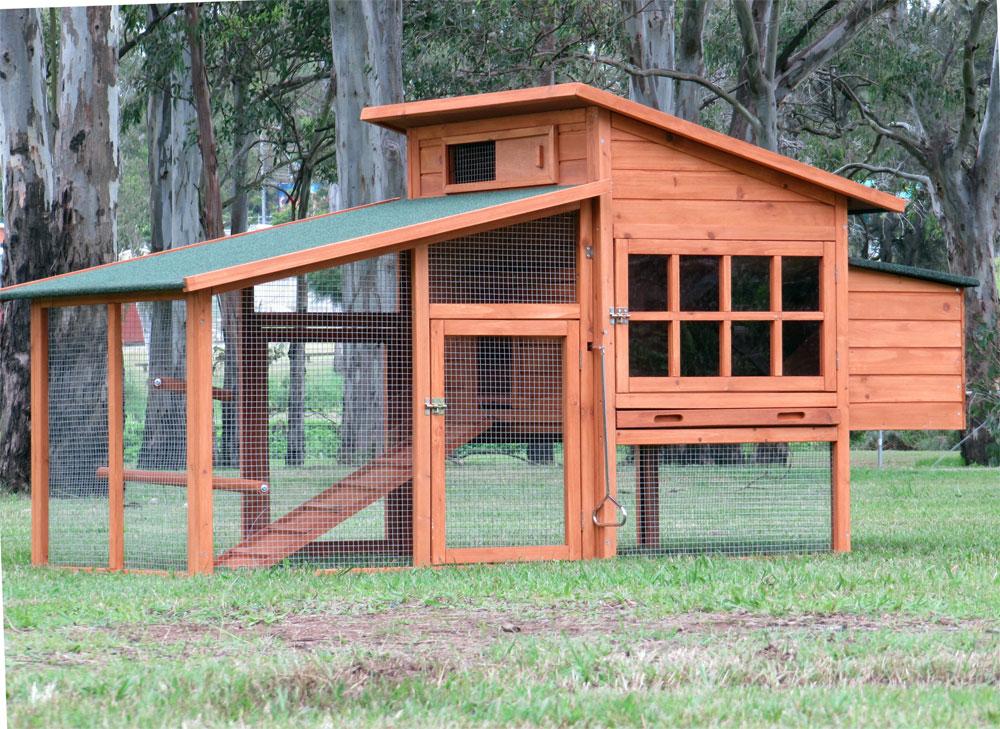 Very Large Chicken Coops But i never had any chicken