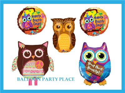 Blues Clues Birthday Party Supplies on Hoot Peace Barn Owl Birthday Party Supplies Balloons Pink Chocolate