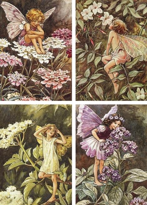 Flower Fairies Fairy Poster Picture Photo Decor Print wall art Nursery ...