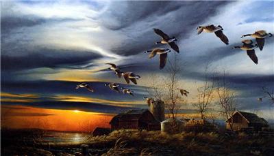 Terry Redlin "Silent Sunset" Encore Farm Canadian Goose Art Print 18" x
