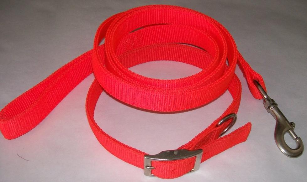 Nylon dog Leash - Hunter Orange - 6' X 1"