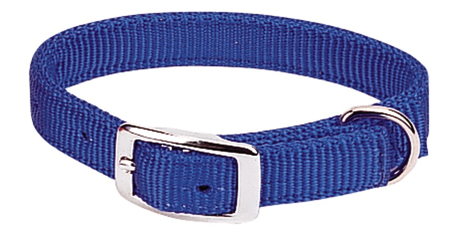 Weaver- Prism dbl ply Nylon Dog Collar - blue Weaver- Prism dbl ply Nylon Dog Collar - blue