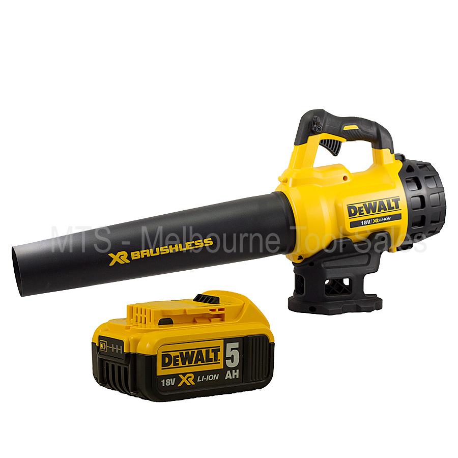 dewalt 20v blower xr