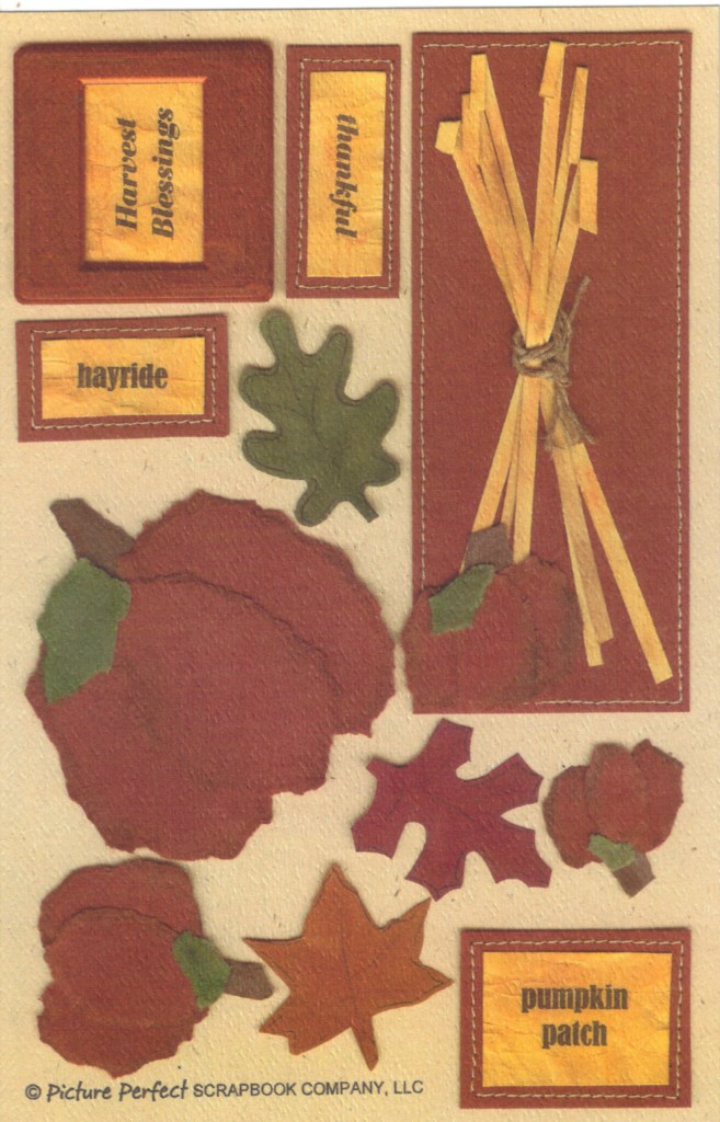 Cardstock CUT OUTS for Scrapbooking & Cards You Choose eBay